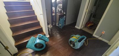 Professional Water Damage Assessment
