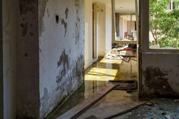 Cost of Water Removal Service in Austin