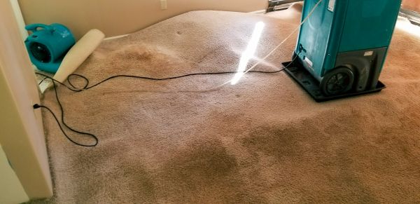 Carpet Water Extraction in Austin