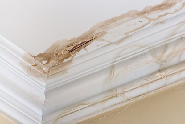 Water Damage Recovery in Austin